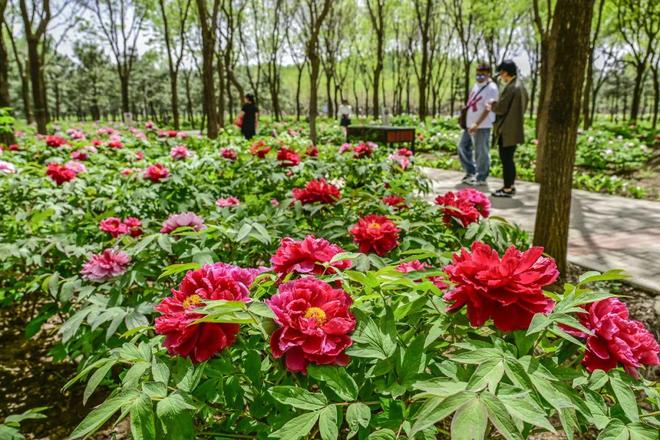 心-2：三大+书市+特色小镇打卡文旅新地标j9九游会俱乐部登录入口120小时玩转副中(图10)